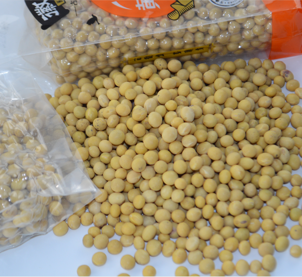 Sprouting and Food Grade Yellow Soybeans Top Quality Dry Soya Beans Non-gmo Soybean