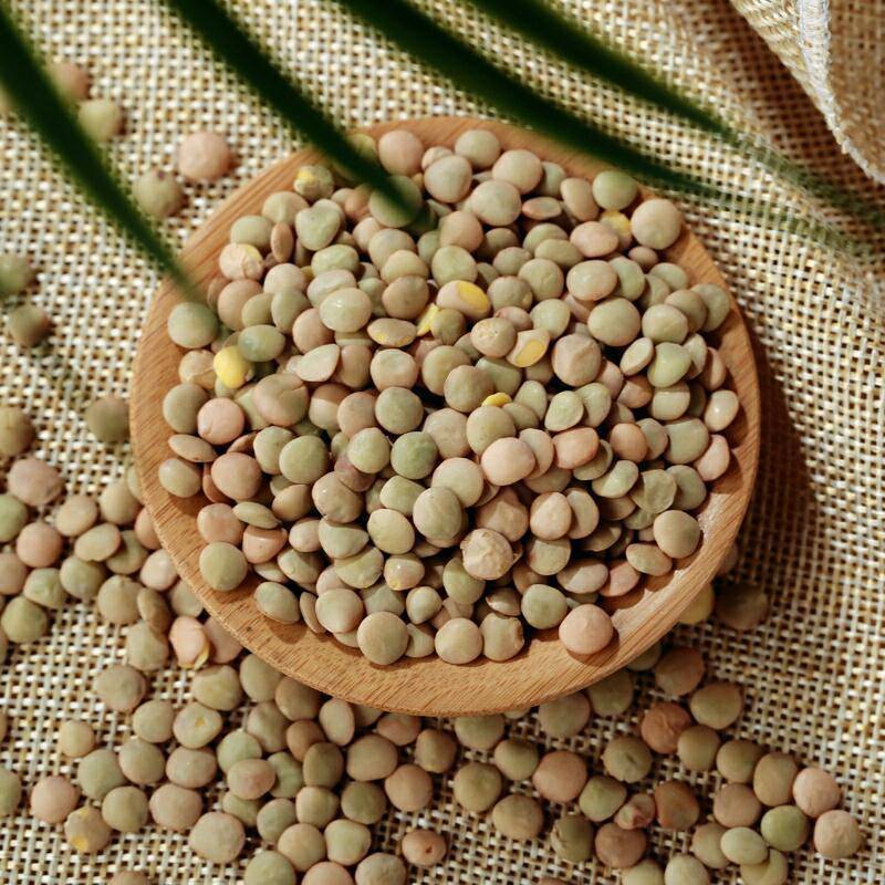 New Crop Wholesale Green Lentils Export Price Cheap Lentil Green