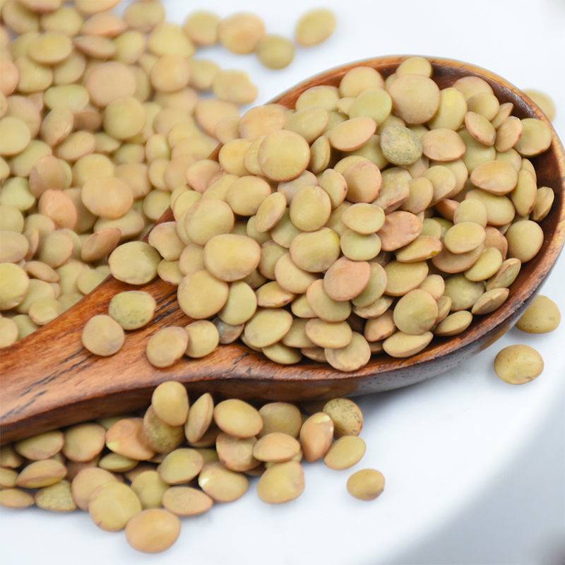 New Crop Wholesale Green Lentils Export Price Cheap Lentil Green