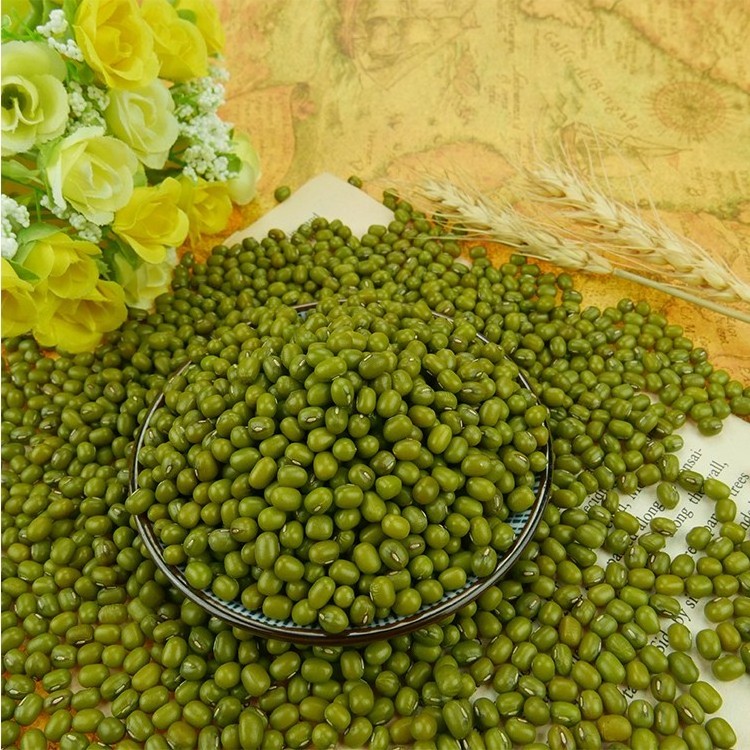 Proper Price Top Quality Healthy Low Fat Green Bean Grain Food Bulk Dried Mung Bean