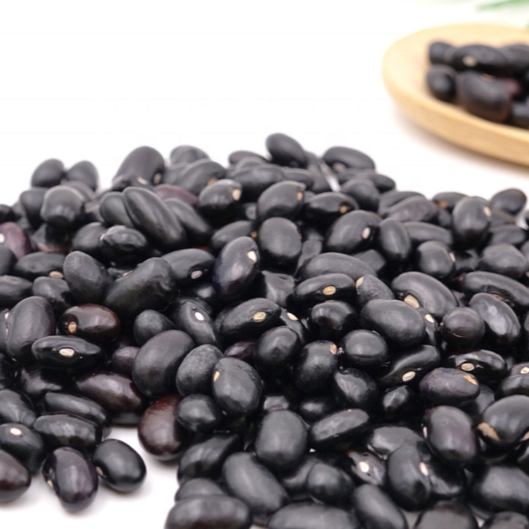 Newest Crop Bulk Kidney Bean Dried Black Kidney Beans For Sale