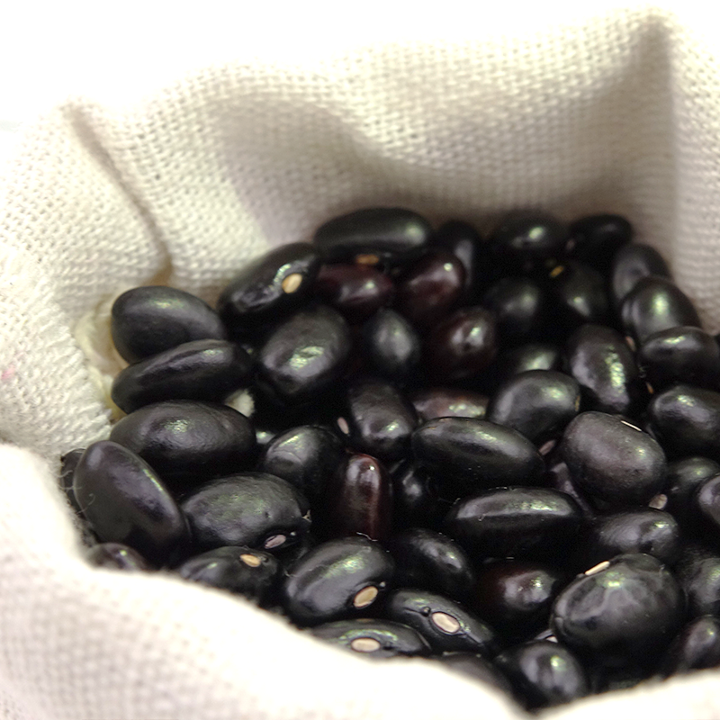 Newest Crop Bulk Kidney Bean Dried Black Kidney Beans For Sale