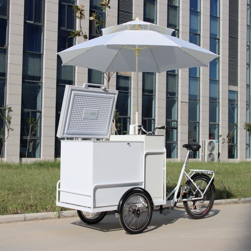 Ice cream bike with coolbox 258L freezer for selling Popsicle ice cream cart