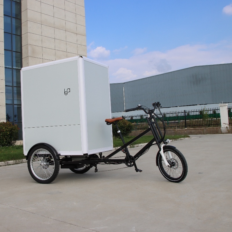 Electric Enclosed Big Box Delivery Cargo Trike, Motorized Cargo Tricycle