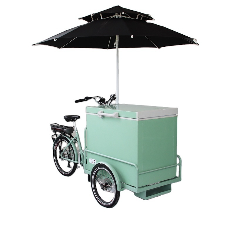 RICKSHAW/Battery / Solar / DC Powered Freezer 208 Liter Ice Cream Tricycle / Trike / Bicycle / Carts / Bike