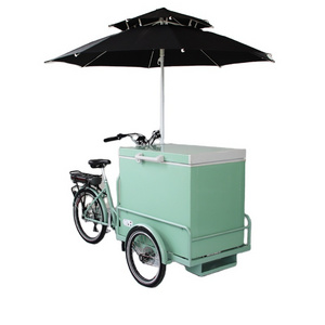 RICKSHAW/Battery / Solar / DC Powered Freezer 208 Liter Ice Cream Tricycle / Trike / Bicycle / Carts / Bike