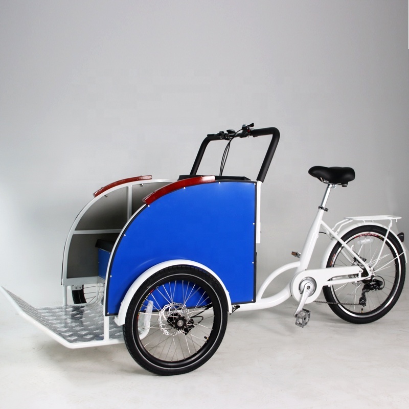 New Arrival Most Popular Passenger Tricycle Bicycle Taxi Rickshaw Auto Electric Rickshaw