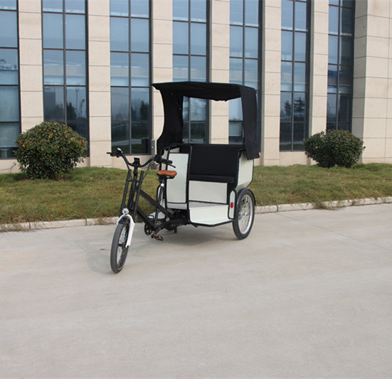 Rickshaw Price Bike-Taxi Pedicab Rickshaw with New Waterproof Lines for sale