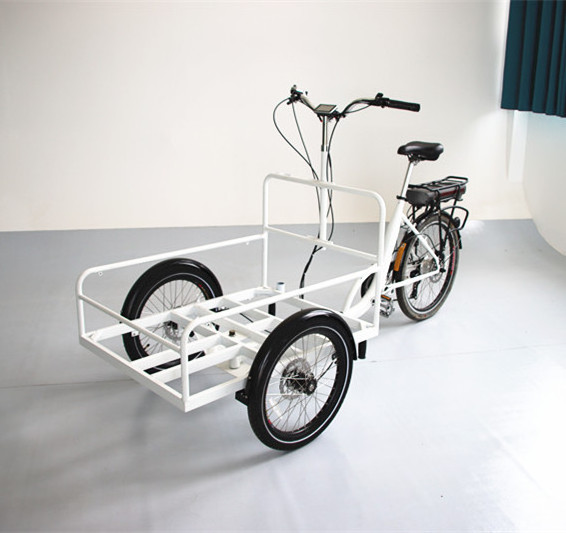 front loading 3 wheels cargo tricycle for family with wooden case for commercial delivery cargo