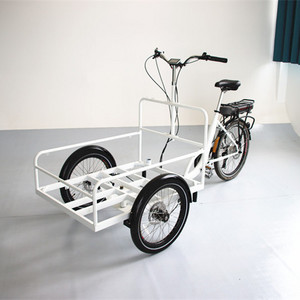 front loading 3 wheels cargo tricycle for family with wooden case for commercial delivery cargo