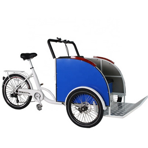 Hot Selling Fat Tire Trike Moped Electric Pedicab For Passenger