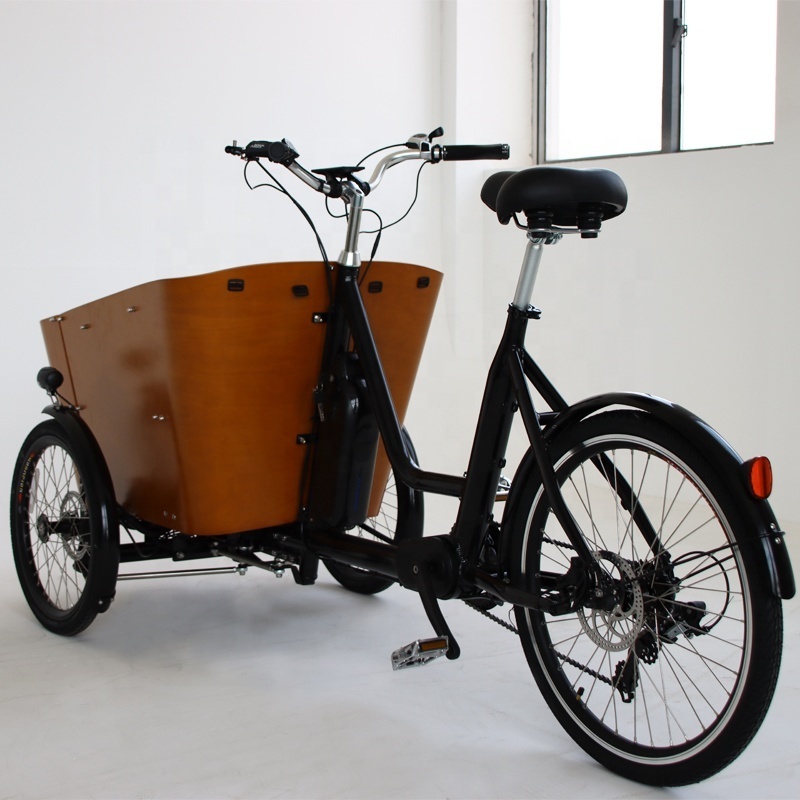 Luxury Long tail Cargo Ebike Family Mid Drive Mountain Bike Tricycle