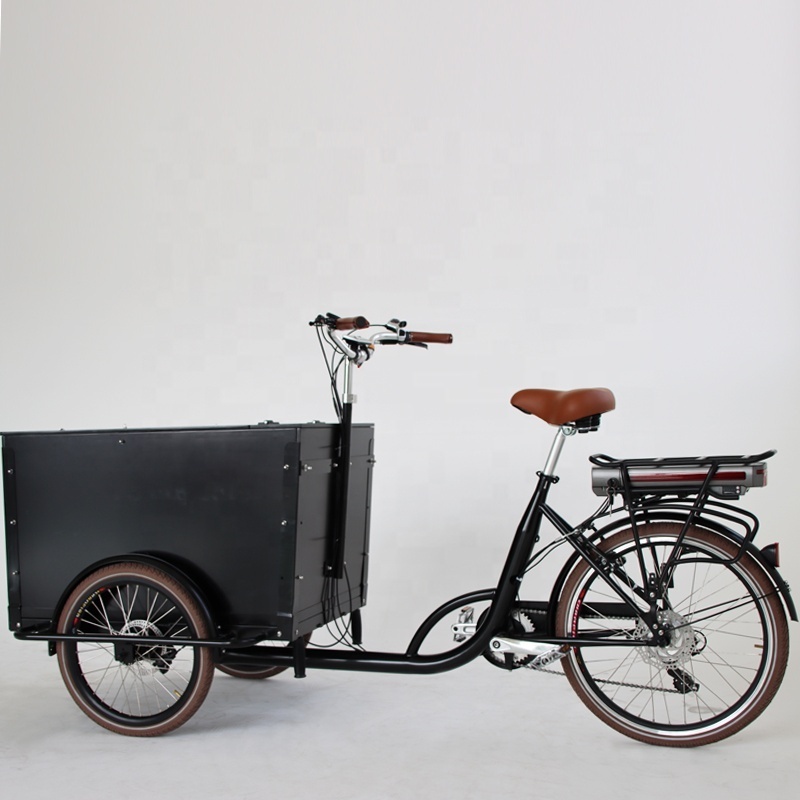 High Quality Classic Three Wheels Bikes Enclosed Electric Tricycle For Sale