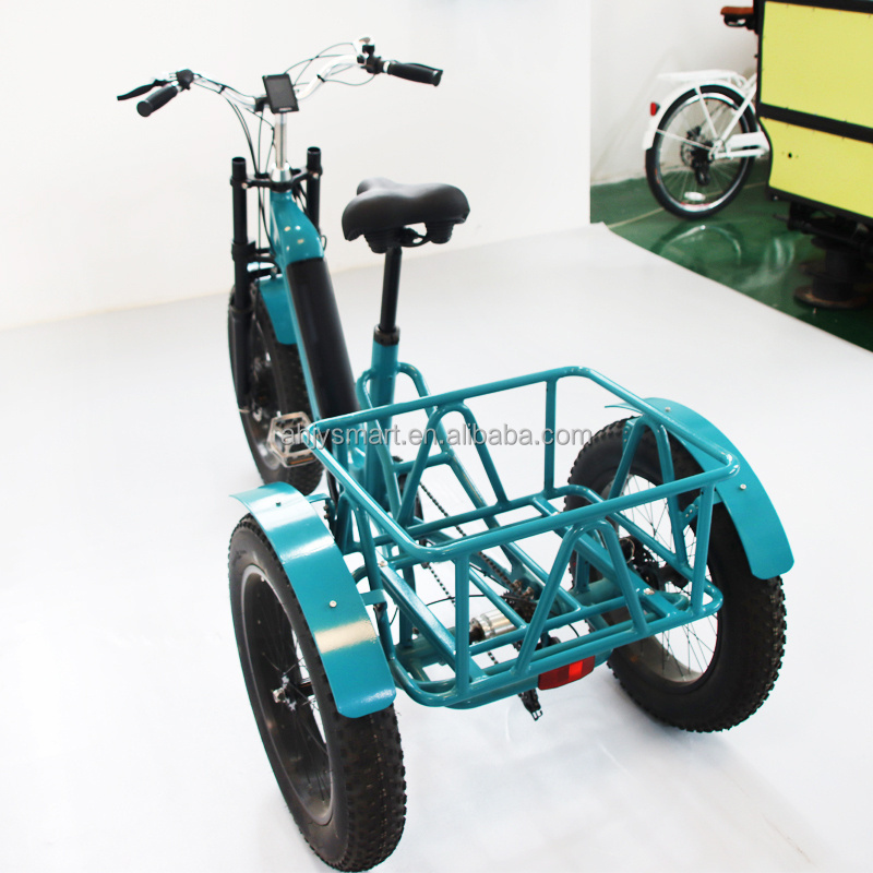 3 wheel electric tricycle 24 inch fat tire electric trike cargo electric bike electric pedicab