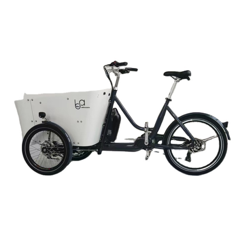 Wholesale EU Warehouse 250W 350W  500W 48V Powerfully Long Range 3 Wheels Electric cargo bike e rickshaw spare parts