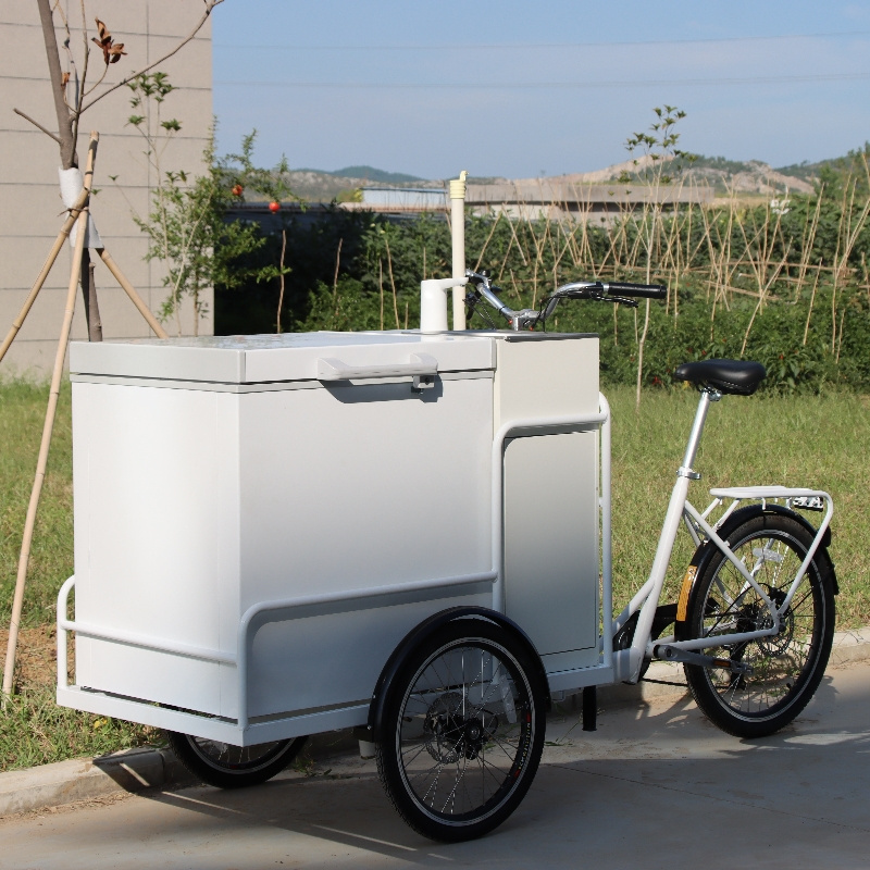 Ice cream bike with coolbox 258L freezer for selling Popsicle ice cream cart