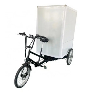 Electric advertising tricycle Large Carrying Commercial Cargo Grocery Delivery Bike 3 wheel electric heavy duty cargo bike