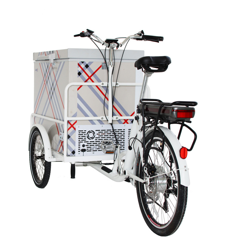 3 Wheel Electric Street Food Bike 208L Ice Cream Delivery Bike Hot Dog Food Truck For Cold Drink