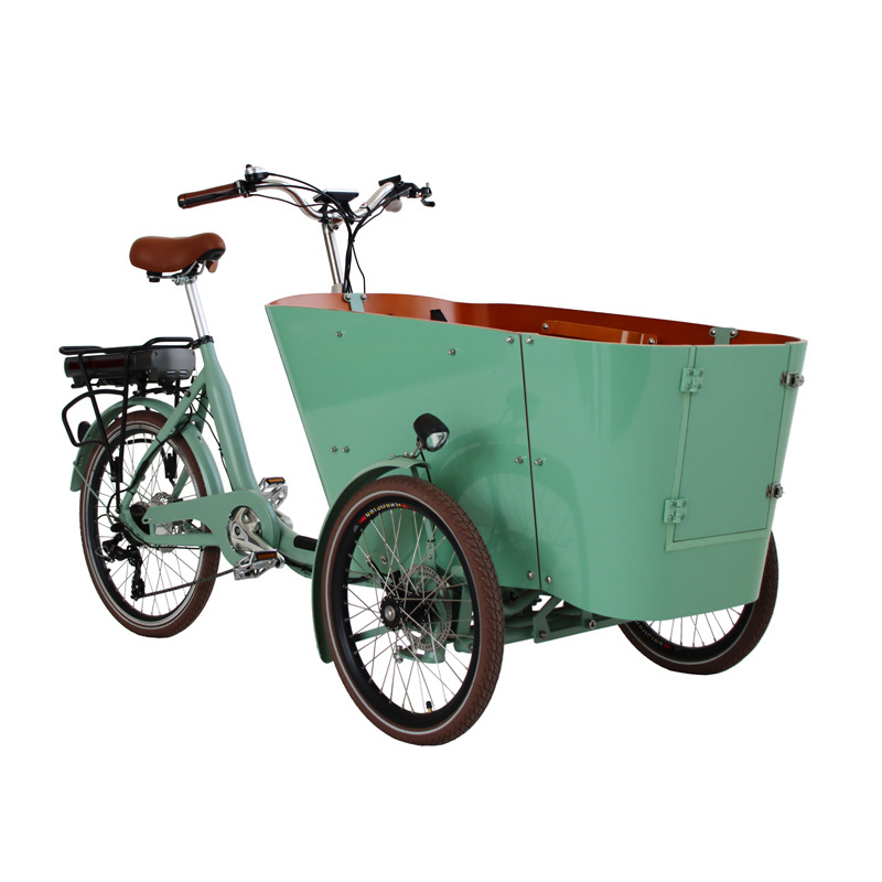 Wholesale EU Warehouse 250W 350W  500W 48V Powerfully Long Range 3 Wheels Electric cargo bike e rickshaw spare parts