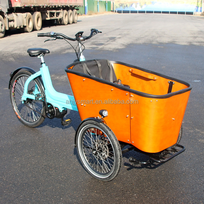 48V 500W New Design with a New Look Electric Cargo Bike 3 Wheel Electric Cargo Bike