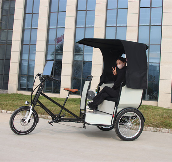 Bicycle taxi for sale online