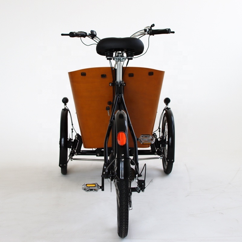 Luxury Long tail Cargo Ebike Family Mid Drive Mountain Bike Tricycle