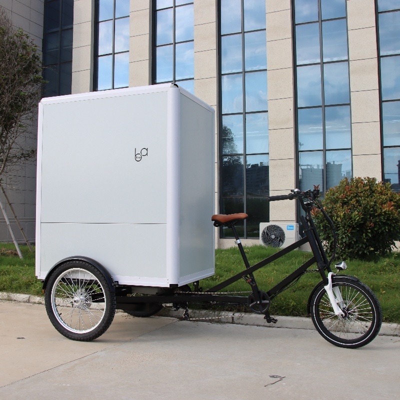 Electric Enclosed Big Box Delivery Cargo Trike, Motorized Cargo Tricycle