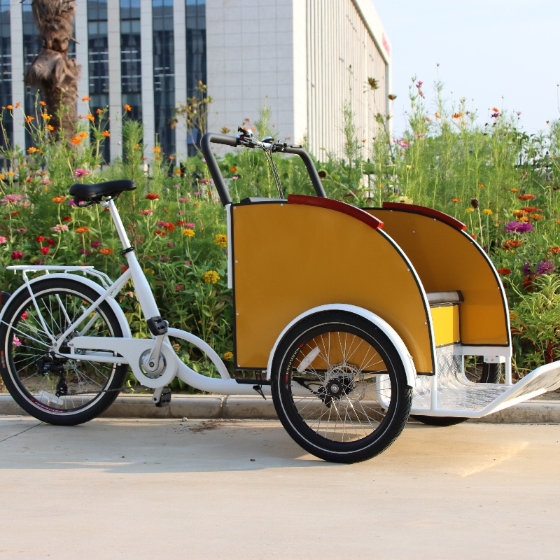 pedal electric tricycles rickshaw pedicab hybrid e bike passenger bike tuktuk electric taxi