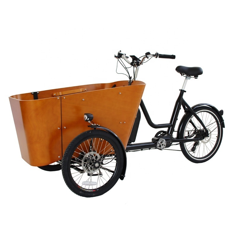 Luxury Long tail Cargo Ebike Family Mid Drive Mountain Bike Tricycle