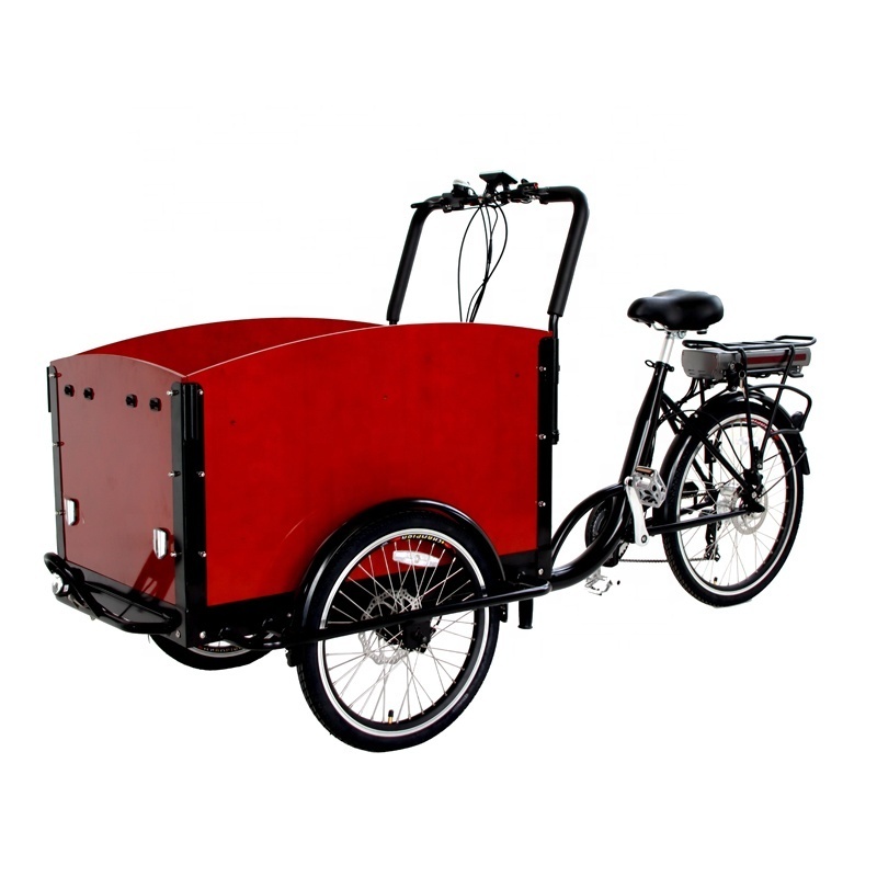 Eu Stock solar power electric recumbent trike gas powered covered eec cargo trike