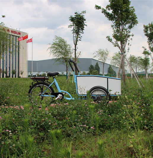 Passenger Bicycle Cargo Bike Trailer for Kids Children Baby Dog Pet with box