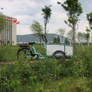 Passenger Bicycle Cargo Bike Trailer for Kids Children Baby Dog Pet with box