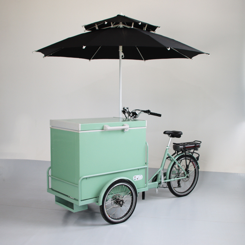 RICKSHAW/Battery / Solar / DC Powered Freezer 208 Liter Ice Cream Tricycle / Trike / Bicycle / Carts / Bike