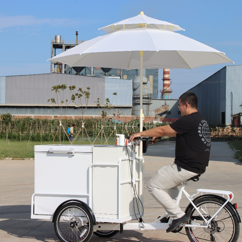 Ice cream bike with coolbox 258L freezer for selling Popsicle ice cream cart