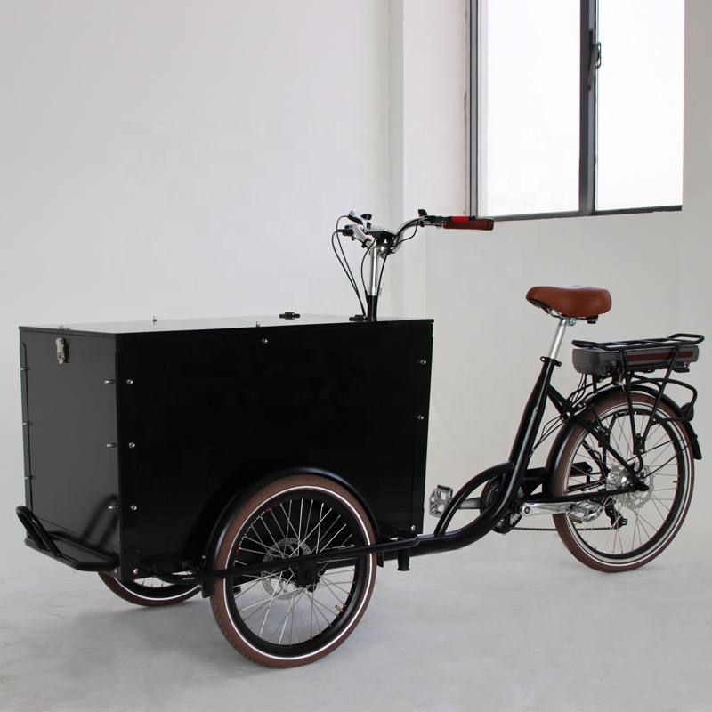 High Quality Classic Three Wheels Bikes Enclosed Electric Tricycle For Sale