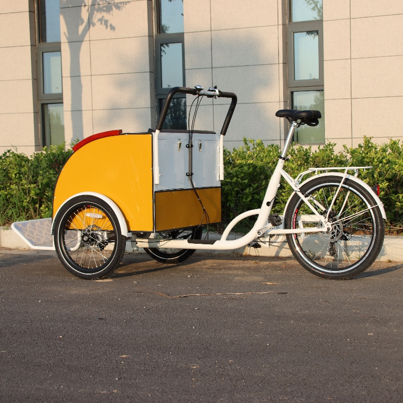 pedal electric tricycles rickshaw pedicab hybrid e bike passenger bike tuktuk electric taxi