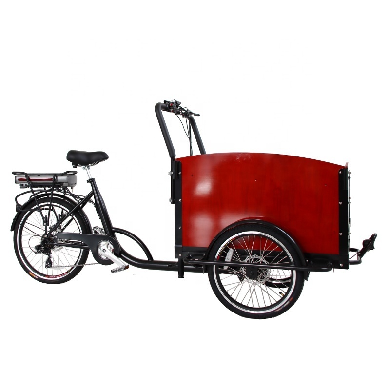 Eu Stock solar power electric recumbent trike gas powered covered eec cargo trike