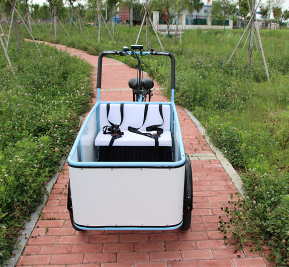 Passenger Bicycle Cargo Bike Trailer for Kids Children Baby Dog Pet with box