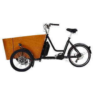 New Design Tricycle Cargo Electric Bike Reverse Trike Recumbent bike