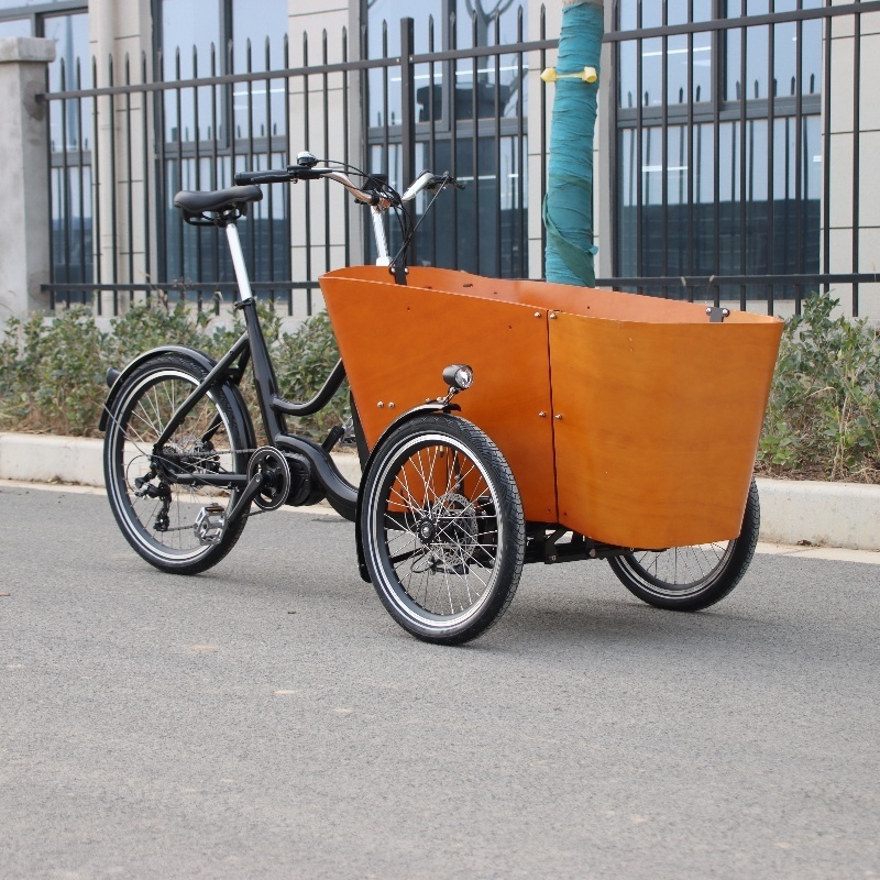 Delivery 4 Children Seats Family Electric Assist Cargo Bike