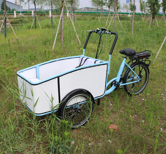 Passenger Bicycle Cargo Bike Trailer for Kids Children Baby Dog Pet with box