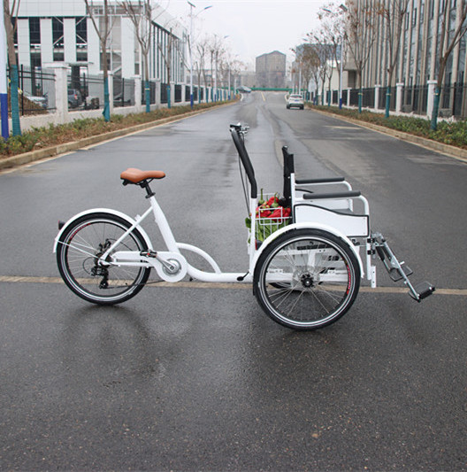 Electric Passenger Tricycle bike Three Wheel Scooter for sale best price