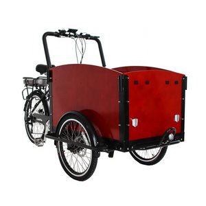 Eu Stock solar power electric recumbent trike gas powered covered eec cargo trike