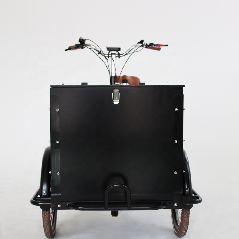 High Quality Classic Three Wheels Bikes Enclosed Electric Tricycle For Sale