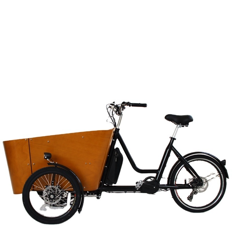 Wholesale EU Warehouse 250W 350W  500W 48V Powerfully Long Range 3 Wheels Electric cargo bike e rickshaw spare parts