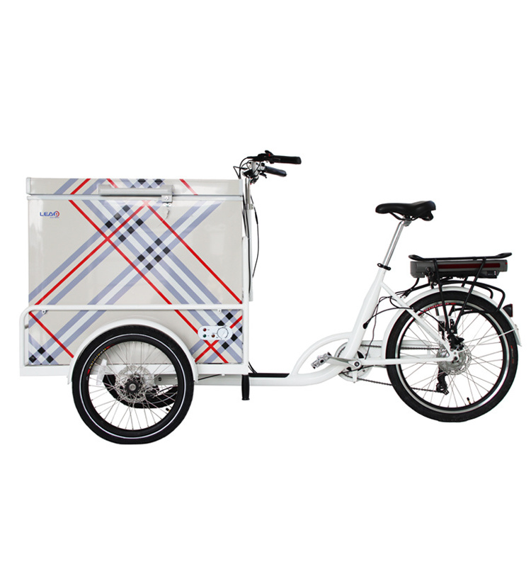 3 Wheel Electric Street Food Bike 208L Ice Cream Delivery Bike Hot Dog Food Truck For Cold Drink