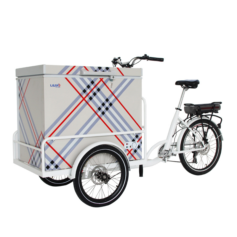 3 Wheel Electric Street Food Bike 208L Ice Cream Delivery Bike Hot Dog Food Truck For Cold Drink