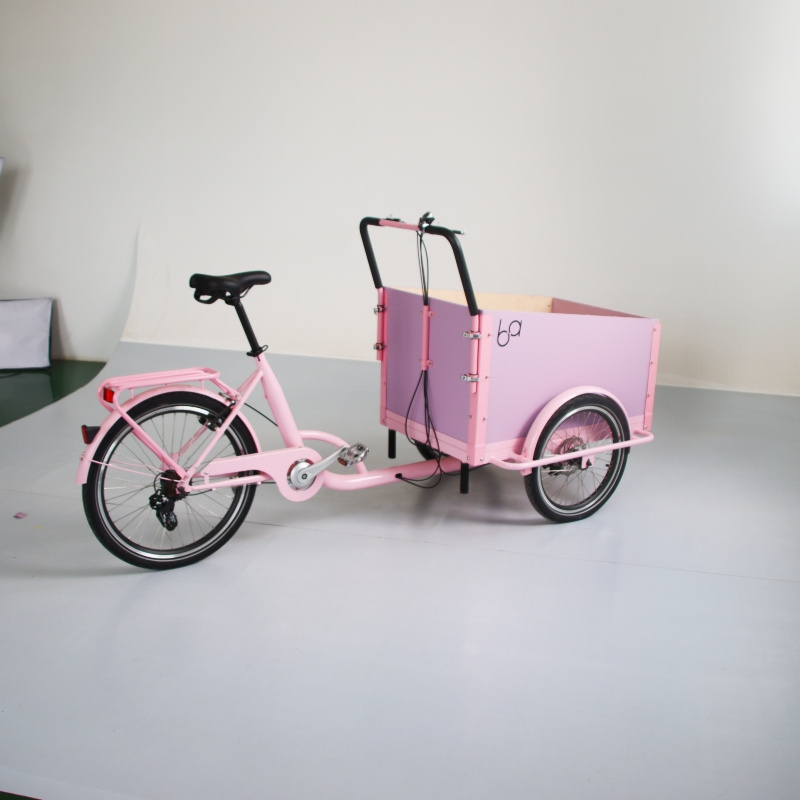 Factory Cheap Price Family Electric Cargo Tricycle  250W Motor Strong Steel  Frame 3 Wheels Cargo Bikes Front Cart