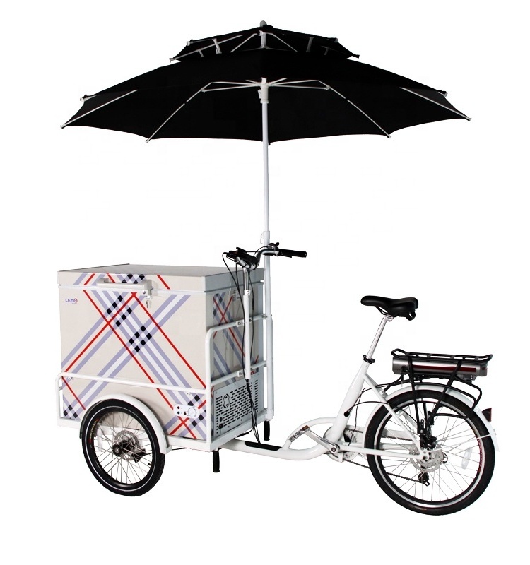 3 Wheel Electric Street Food Bike 208L Ice Cream Delivery Bike Hot Dog Food Truck For Cold Drink