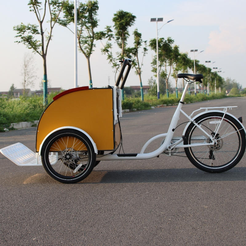 pedal electric tricycles rickshaw pedicab hybrid e bike passenger bike tuktuk electric taxi